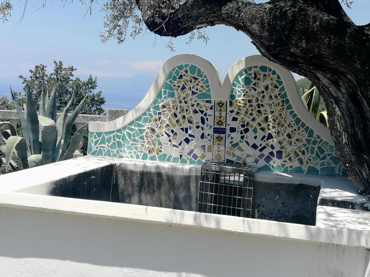 Villa Venezuela 1° Piano Maratea Dış mekan fotoğraf